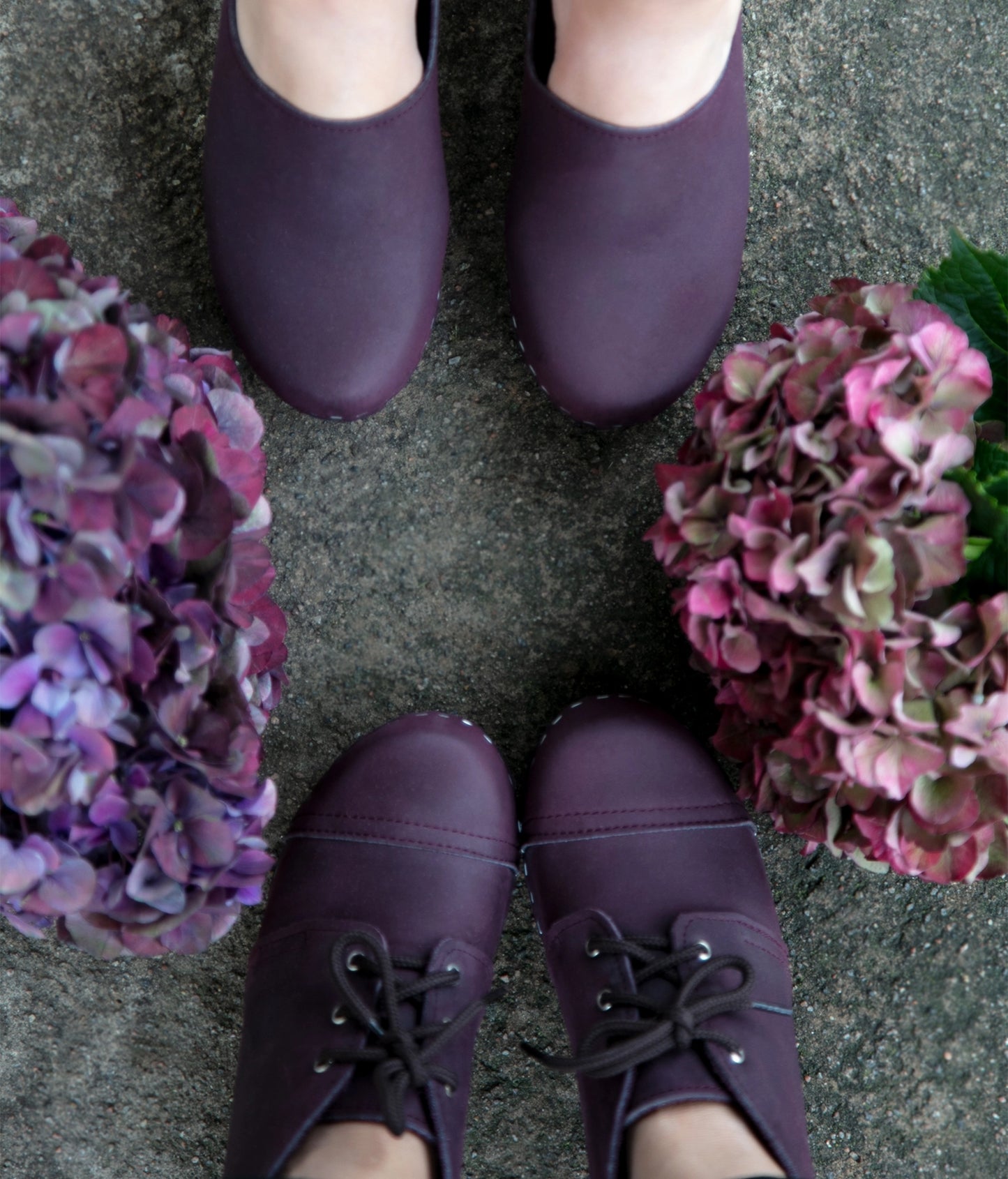 Purple clogs on a concrete surface with hydrangea flowers. high heeled chukka clog boots in purple plum nubuck leather stapled on a dark wooden base with brown laces