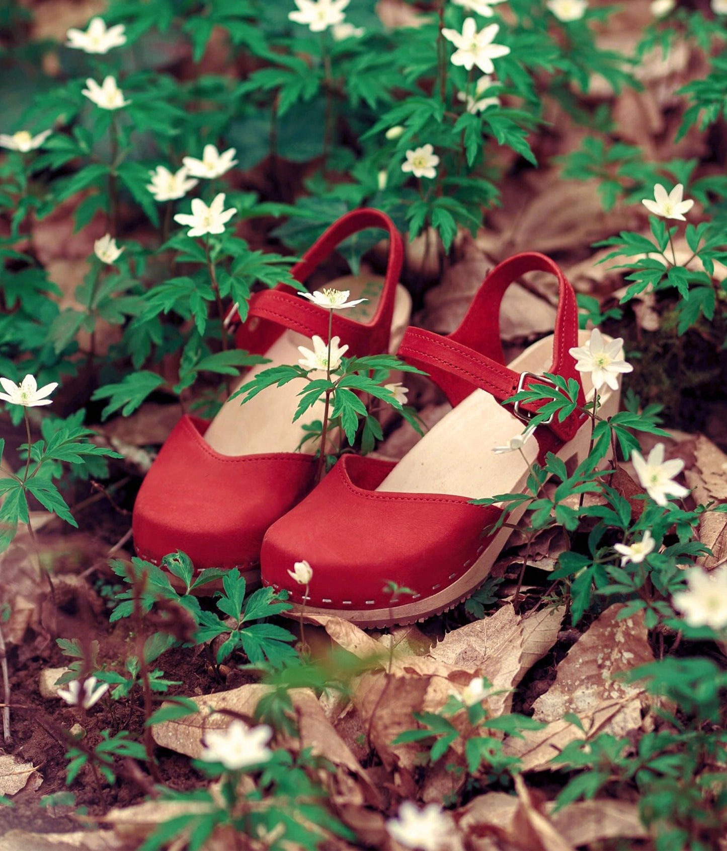 High rise heel classic clog sandals in red nubuck leather stapled on a light wooden base