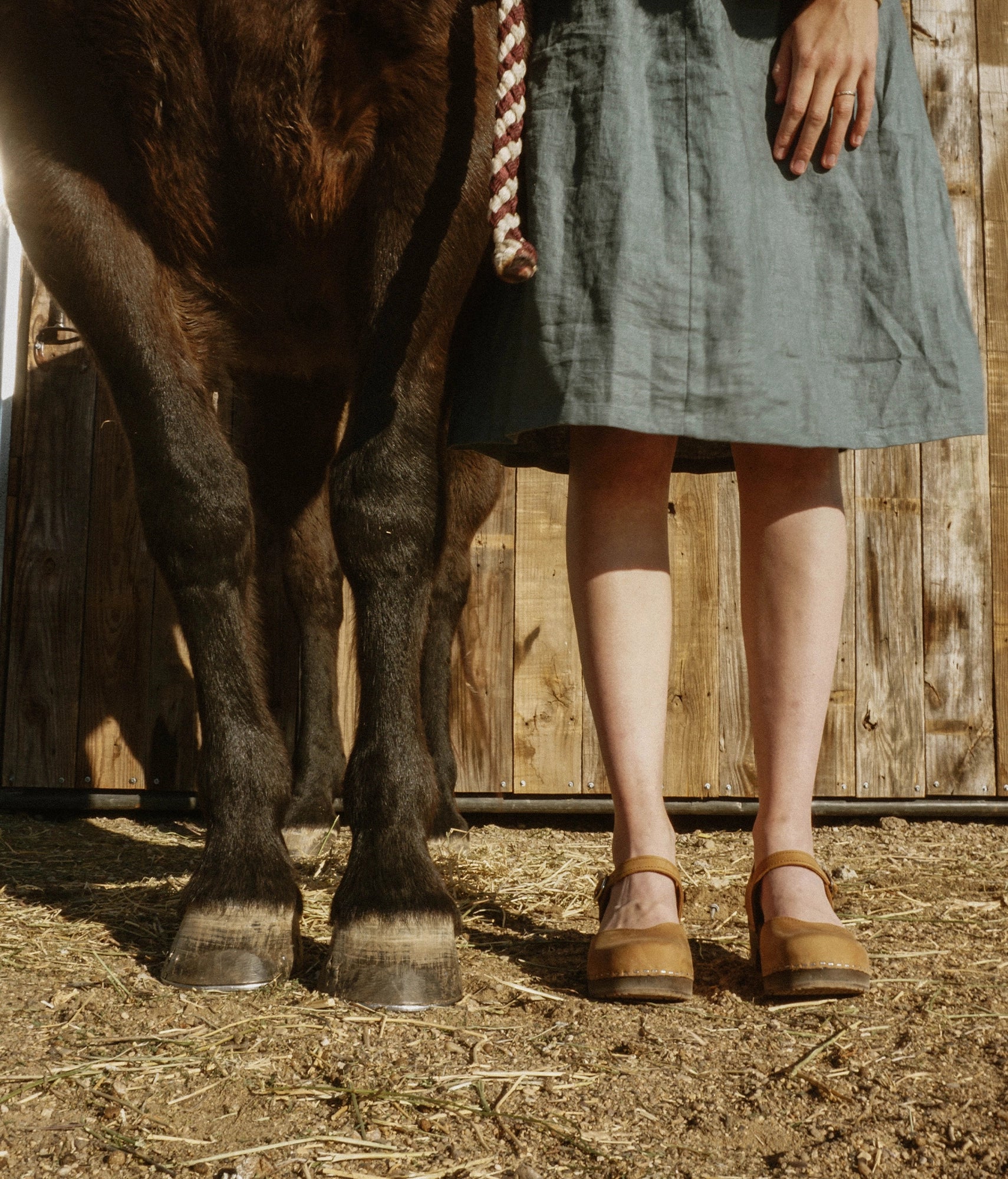 classic low heeled closed-toe sandal in light brown nubuck leather stapled on a dark wooden base