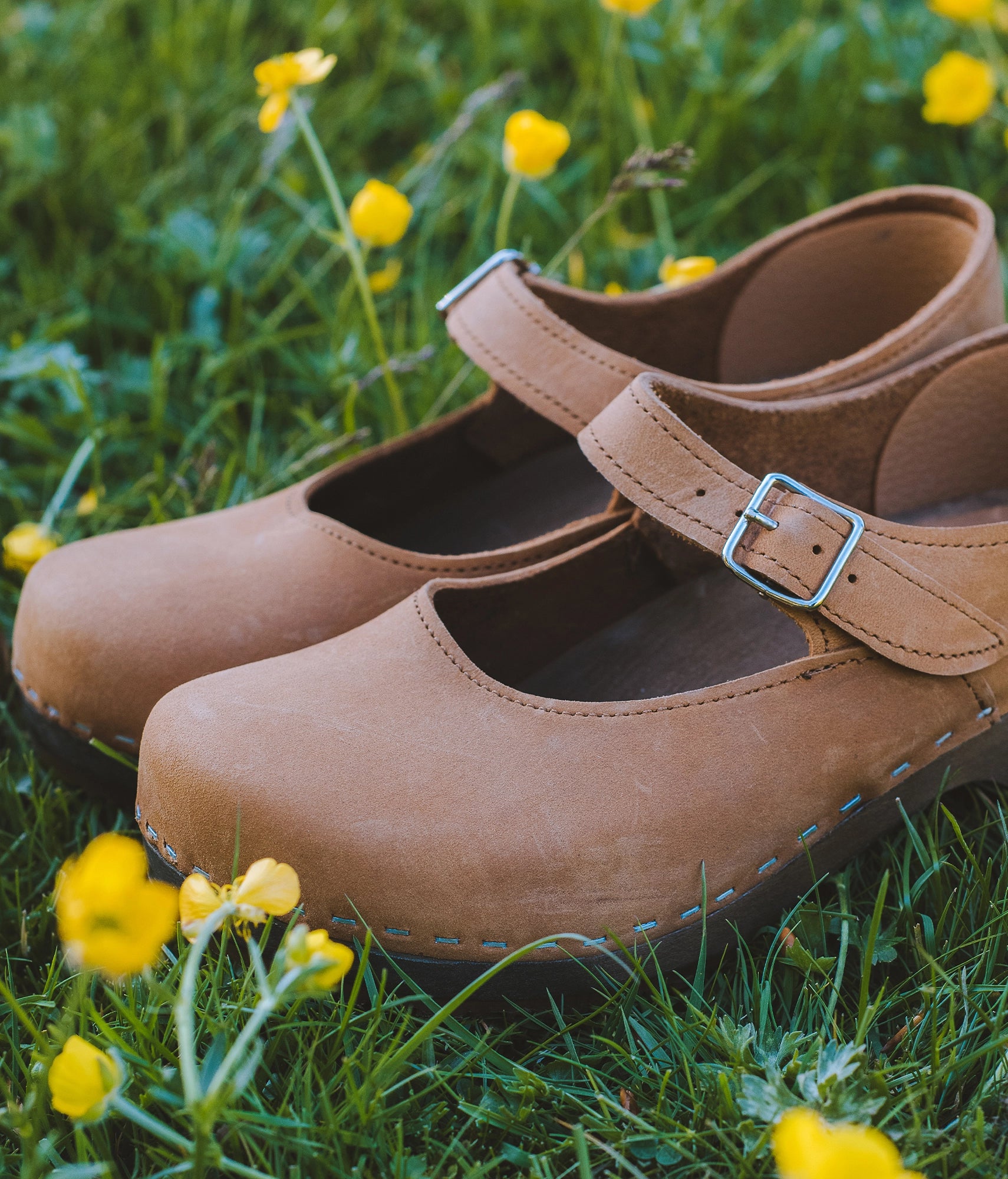 Pair of Dexter tan clogs with a strap on grass with yellow flowers. Mary Jane wooden clogs in light brown nubuck leather stapled on a dark wooden base
